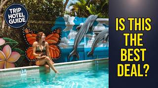 Noosa Flashpackers - Is This the Best Deal? | Sunshine Coast, Australia🏩