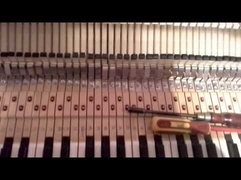 Rhodes Piano Back Check Mod