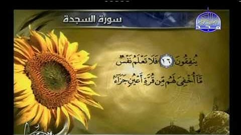 سورة السجدة بصوت القارئ سعد الغامدي - Almajd3