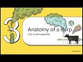 Cows, Ciliates, and Climate