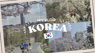 My second trip to Korea | watch cherry blossom flower ,try Korean food and explore cities #korea