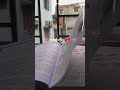 Started with Chemistry… ended in Biology 🙂Morning study hits different 🌅#fypviralシ #minivlog #viral