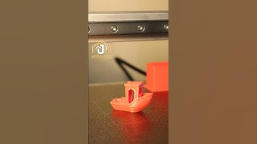 This Was NOT a Normal Sized Benchy!