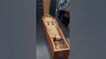 REAL Egyptian Mummy Egyptianmuseum Ancientegypt Museum Ancient History Old Mummification 