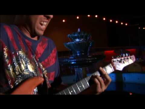 Pajari azul - Noriega