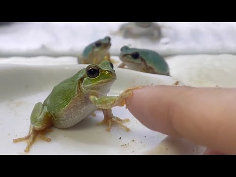 I thought he was going to shake my hand, but he wasn't. - YouTube