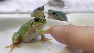 I thought he was going to shake my hand, but he wasn't. - YouTube