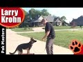 Remote collar training with German Shepherd PUPPY | E collar | DAY3 Remote collar training with German Shepherd PUPPY | E collar | DAY3