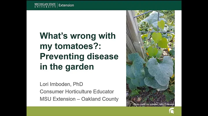 Healthy Gardens Preventing Disease with Lori Imboden