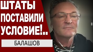 Залужный НЕ ЛЮБИТ котов ..голова ШУТА не может быть у КОРОЛЯ.. Отписывайте имущество.. - Балашов