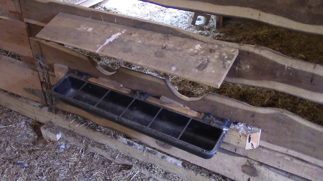 Easy No Waste Goat Feeder Youtube