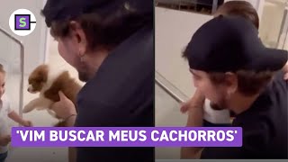 Natan vai buscar cachorros roubados por Henrique e presenteia filho do sertanejo