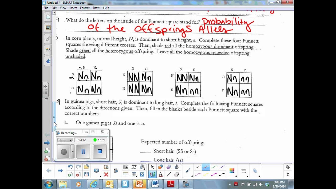 Page Two Baby Steps Punnet Square Youtube