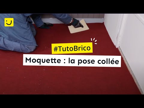 TUTO Moquette : la pose collée - Ooreka.fr