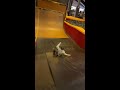 Grant Lewis Boosting it #Scootering #Aosv6 #Envyscooters #Bluntscooters