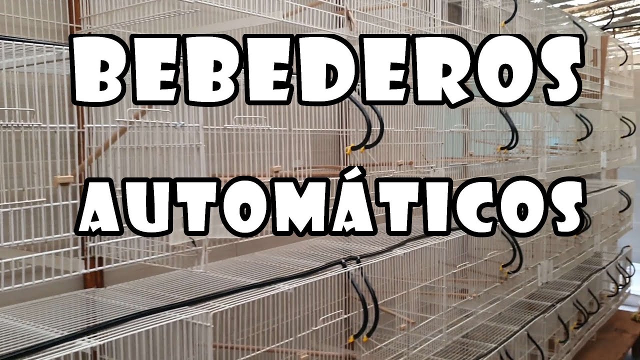‼️Instalación de BEBEDEROS  Automáticos Para Jaulas de CRIA de Canarios