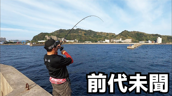 鰹が釣れる堤防から特大ワームを投げ入れたら前代未聞の大物がきた（777話目）