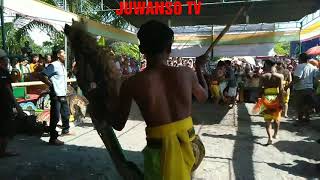 Download Jathilan Ndadi Terganas Eko Turonggo Mudo Video MP3 Jathilan Ndadi Terganas Eko Turonggo Mudo