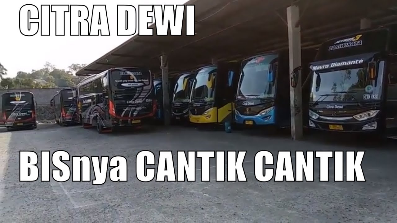 Citra Dewi Bandungan: Lebih dari Sekadar Bus Pariwisata, Sebuah Pengalaman Perjalanan yang Tak Terlupakan