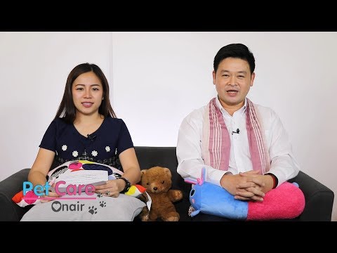 อยากเลี้ยงสุนัข เลือกแบบไหนดี | ลักษณะสุนัขที่มีสุขภาพดี | รายการ Pet Care onair