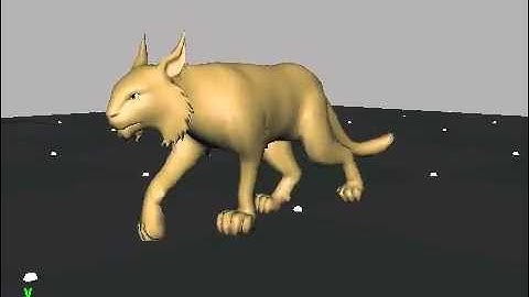 Lynx Walk Cycle - Animals and Creatures