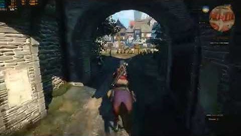 The Witcher 3 Maximum Settings 1080p 9900k RTX 2080 (Novigrad)