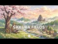 Sakura Fields 🌸 Soft Spring Lo-Fi | Focus, Study &amp; Relax
