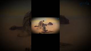 Каким был Шейхуль Ислям Ибн Таймия(рахимахуЛлах)