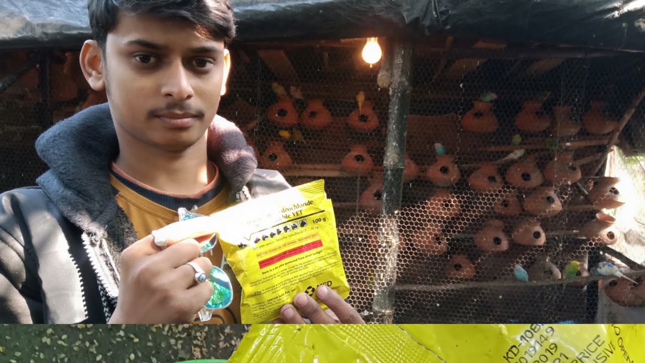 Tetra cycline Hydrochoride Vet Medicine information