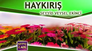 Haykırış İlahisi I Seyyid Veysel Ekinci I Nette İlahi Resimi