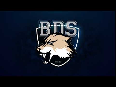 logo BDS Paris YNOV campus