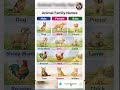 Animal Family Names in English | Male, Female &amp; Baby Animals