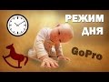 Режим дня.  Ребенку 1 год 2 месяца