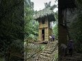 Secret Rainforest River House Build  Natural Materials Only 🌿🏡 #rainforestbuild #riverhouse #shorts