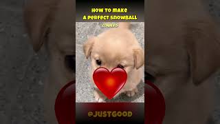 How to make a perfect snowball! WOW !