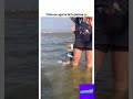 Su carita de pánico #funnyanimals #perrosdivertidos #playa #animals #dogshorts #dogfunny