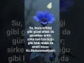 #mevlana #mesnevi #keşfet #sevgi #ahlak #hzmuhammed #dua #istanbul #aşk #ask #tasavvuf #iftar