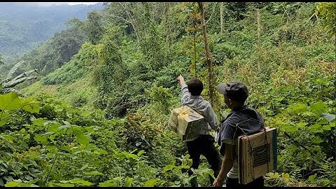 Hết hồn Hết vía đi Đán Dầu 3 ẩn sâu trong rừng già. Nguyễn Tất Thắng