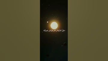 ﴿ يَا أَبَتِ إِنِّي قَدْ جَاءَنِي مِنَ الْعِلْمِ﴾ من سورة مريم بصوت الشيخ ياسر الدوسري❤️