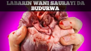 Labarin Wani Saurayi Da Budurwa Episode 01