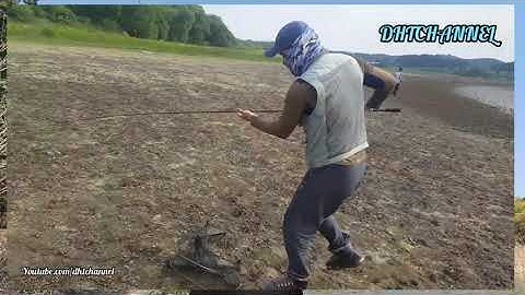 Nghề Câu Cá Lóc Thật Lắm Gian Nan || Câu Cá Lóc Việt