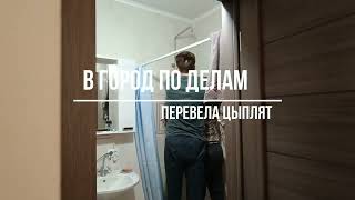 В город в гости к холостяку😊 Район не узнать👍 Прошло 5 лет 🧡Перевела цыплят🐥🐤 Жизнь на Кубани🌹🌹🌹