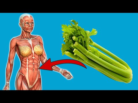 Eat celery every day and WATCH what HAPPENS to you 💥 (Suprising) 🤯