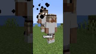 Hollow knight in Minecraft?🤯