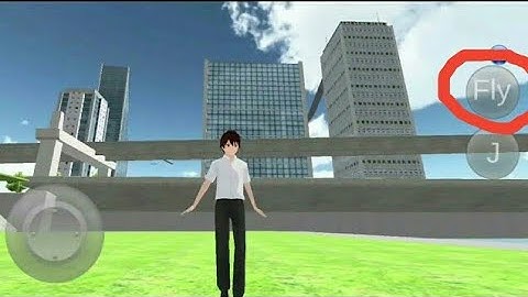 How to Fly in 3d driving class 2024