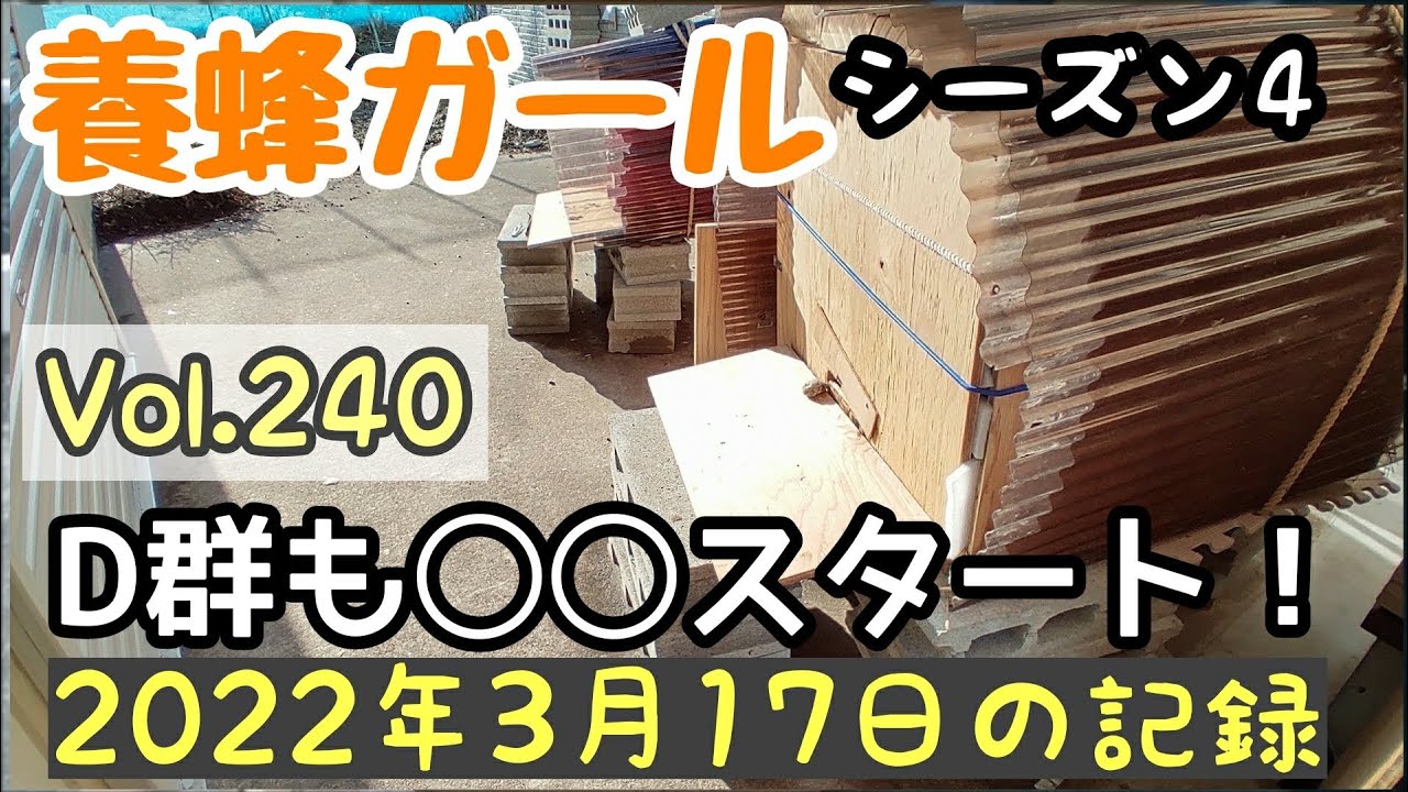 Vol.240 〔養蜂記録〕シーズン４ D群も○○始まった！順調なスタート！