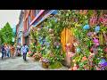 London’s Chelsea in Bloom 2025 | London Walk Tour of Flowers in Chelsea | 4K HDR