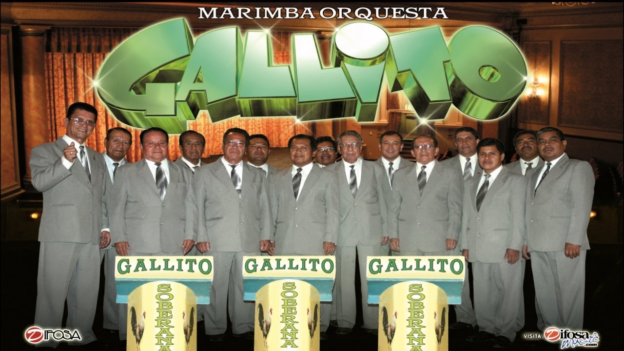 La Soberana Gallito Historia Musical YouTube