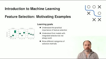 SL - ExtraChap: Feature Selection - 02 Motivating Examples