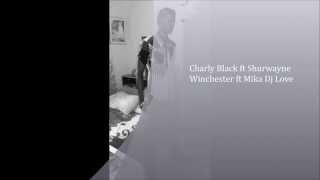 Video thumbnail of "Charly Black ft Shurwayne winchester - Party Animal (Mika Djlove Remix)"